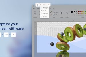 Windows 11 snipping tool