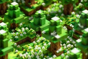 visuel du jeu Minecraft