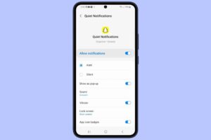 Snapchat sur Galaxy A54 vider le cache invisible pour récupérer 1 Go de stockage