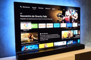 Bugs corrigés et DHCP amélioré nouvelle mise à jour pour les Freebox